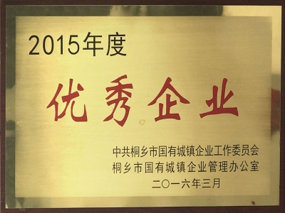 2015年度優(yōu)秀企業(yè)