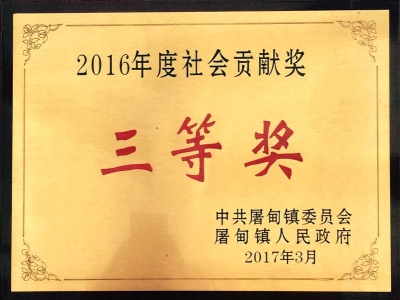 2016年度社會(huì)貢獻(xiàn)獎(jiǎng)_看圖王